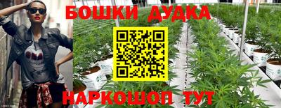 гашишное масло Моздок