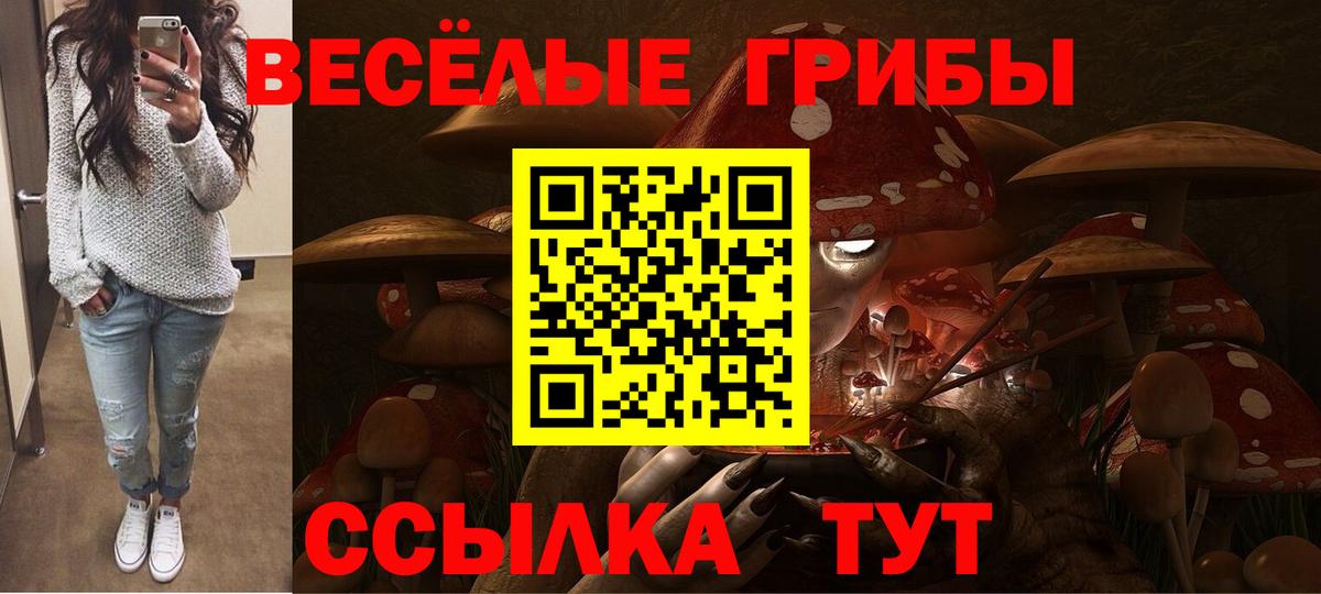 Галлюциногенные грибы Cubensis Ульяновск